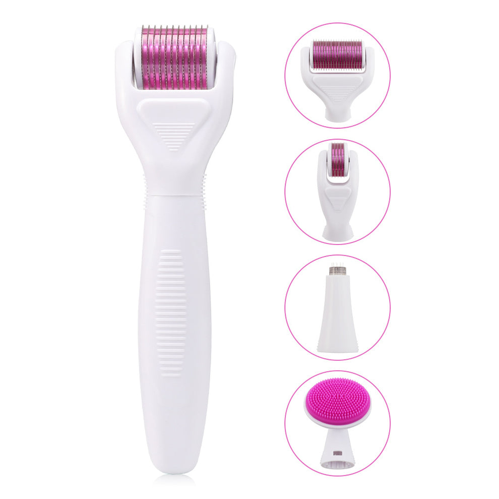 6 IN 1 DERMA ROLLER KIT